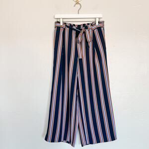 Ann Taylor Factory Striped Paper Bag Pants Medium Petite